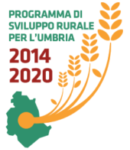 Logo PSR Umbria